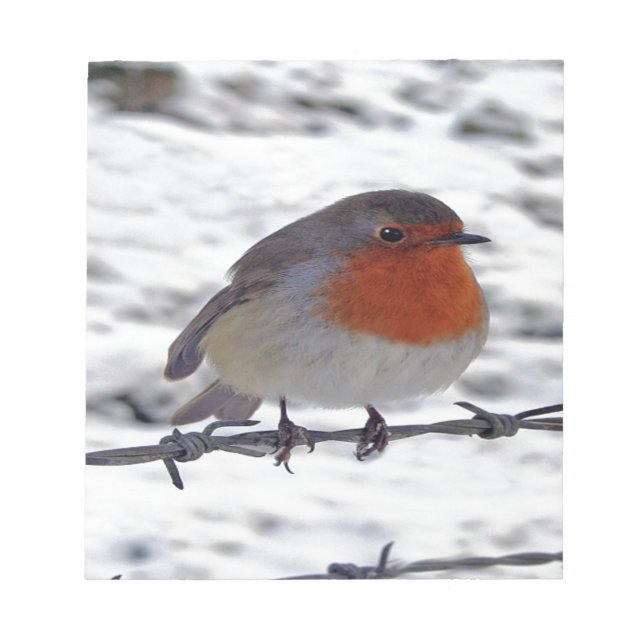 Robin RedBrust Notizblock (Vorderseite)