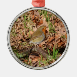 Robin RedBrust Ornament Aus Metall