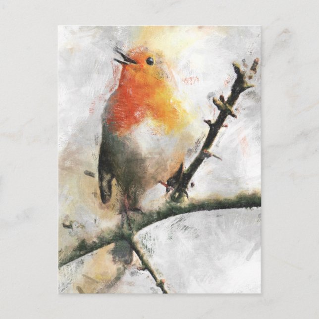 Robin RedBrust Postkarte (Vorderseite)
