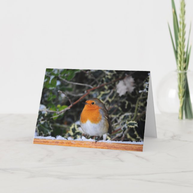 Robin RedBrustweihnachtskarte Feiertagskarte (Vorderseite)