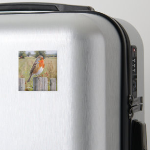 Robin Redust Magnet