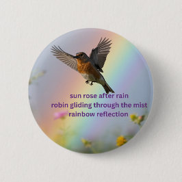 Robin Regenbogen Button