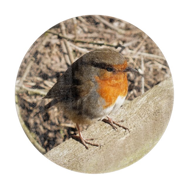 ROBIN SCHNEIDEBRETT (Vorderseite)