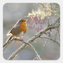 Robin singt in einem Baum