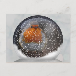 Robin Snowglobe Postcard Postkarte