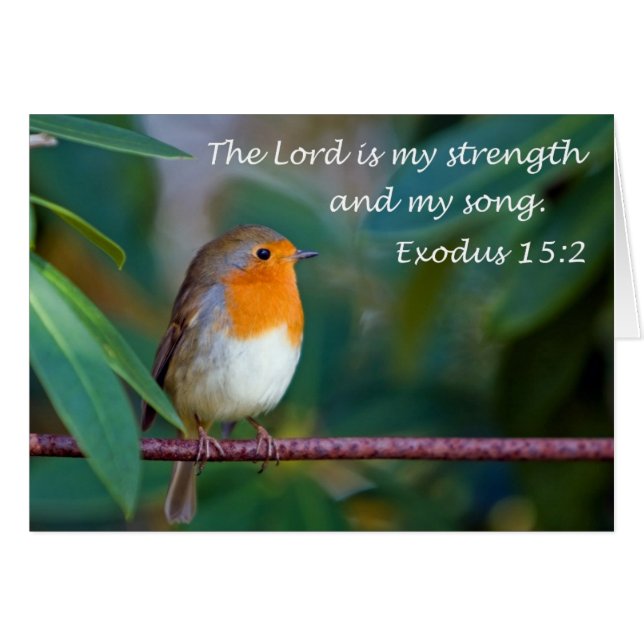 Robin Song Card (Vorderseite (Horizontal))