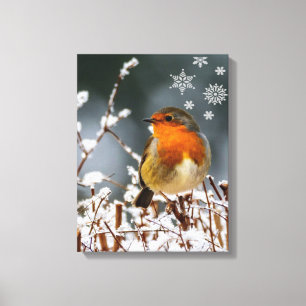 Robin Songbird mit Snowflakes Canvas Print Leinwanddruck