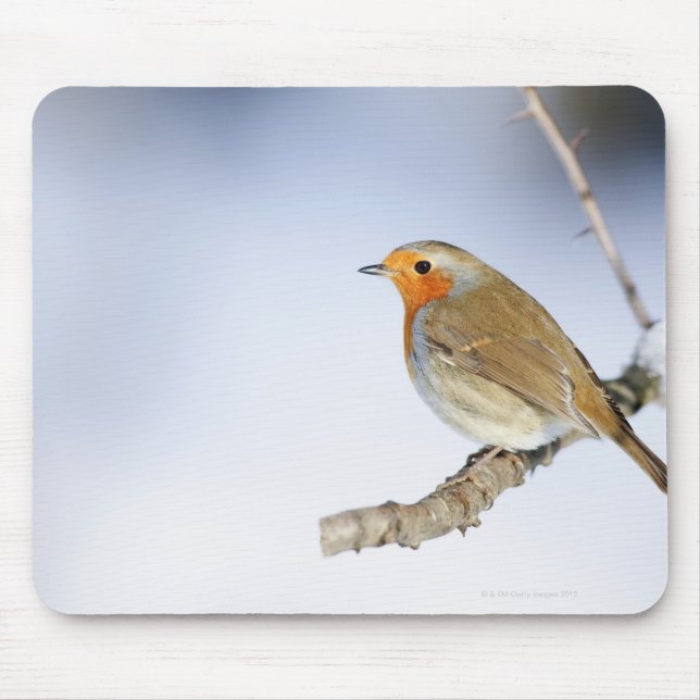 Robin steht im Winter auf einem Ast Mousepad (Vorne)