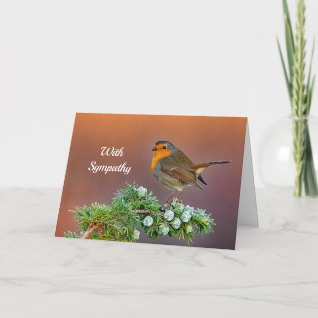 Robin Sympathy Card Karte (Vorderseite)