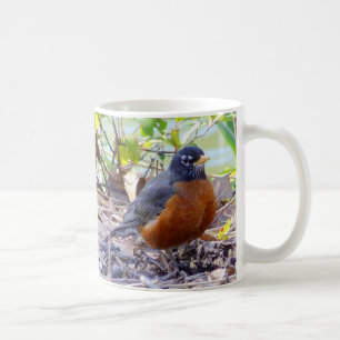 Robin-Tasse Tasse