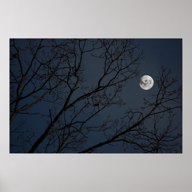 Robin & The Moon Poster (Vorne)