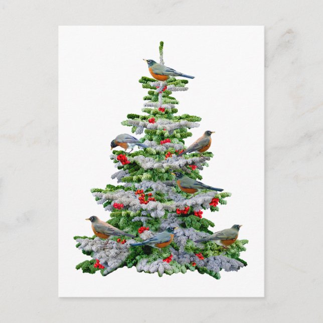 Robin Tree Postkarte (Vorderseite)