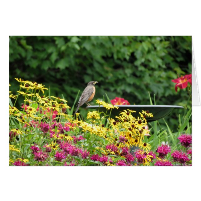 Robin und Blume (Vorderseite (Horizontal))