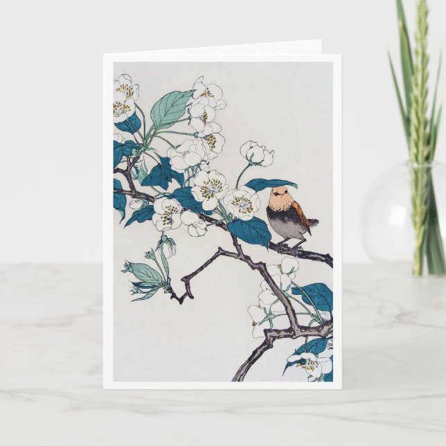 Robin und Cherry Blossoms, Imao Keinen Karte (Vorderseite)