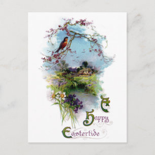 Robin und Frühlingsblumen vintage Ostern Feiertagspostkarte