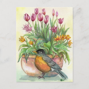 Robin und Tulips Postkarte