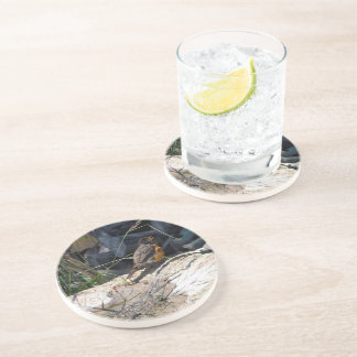 Robin-Untersetzer Getränkeuntersetzer