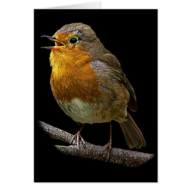 Robin-Vertikale-Karte (Vorne)
