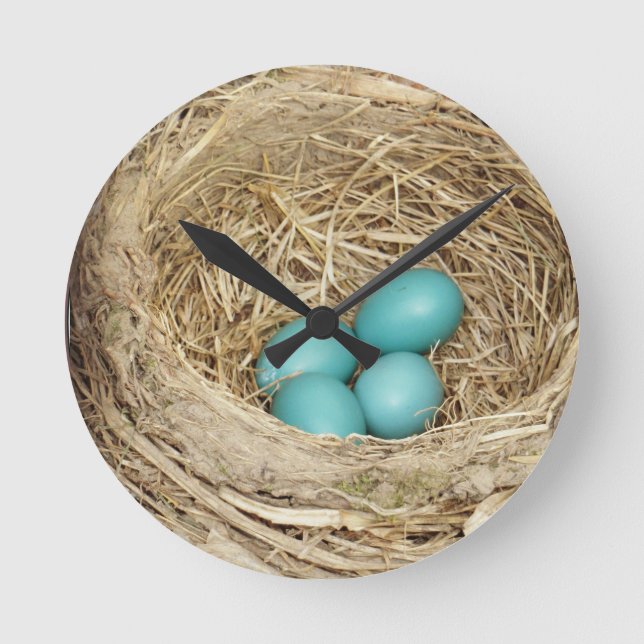 Robin-Vogel-Ei-Nest Runde Wanduhr (Vorderseite)