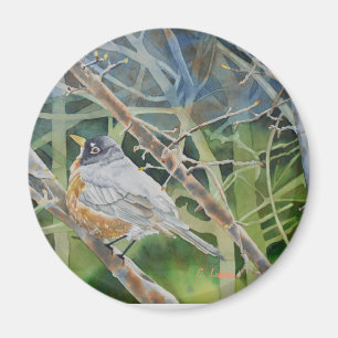 Robin-Vogel in Zweigen auf einem Baum Magnet