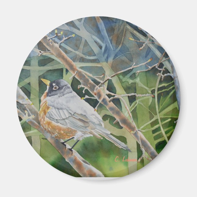 Robin-Vogel in Zweigen auf einem Baum Magnet (Vorne)