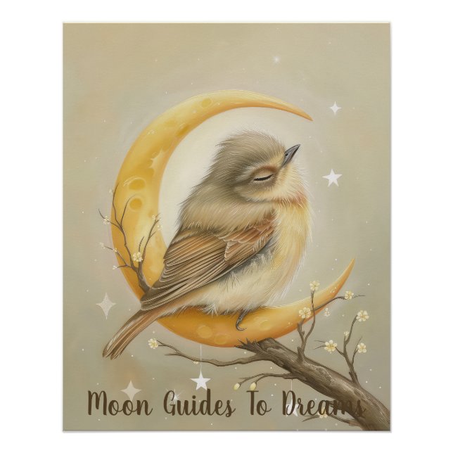Robin-Vogelbaby auf dem Mond Poster (Vorderseite)