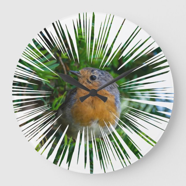 Robin Wall Uhr (Vorderseite)