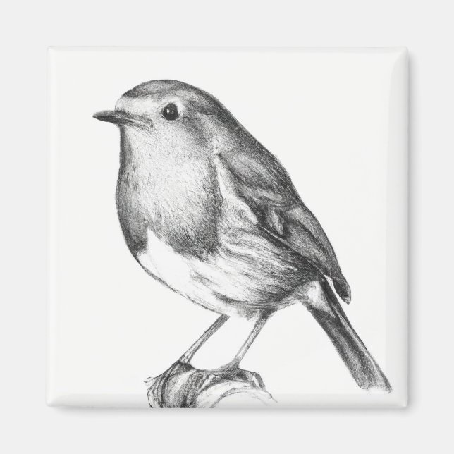 Robin Weihnachten Magnet (Vorne)