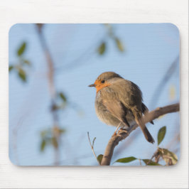 Robin Wildlife Foto Mousepad