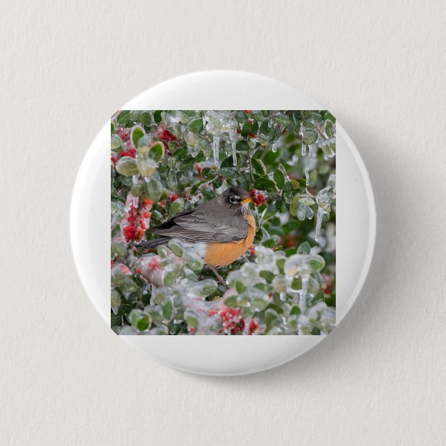 Robin zu Weihnachten Button (Vorderseite)