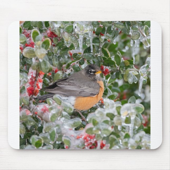 Robin zu Weihnachten Mousepad (Vorne)
