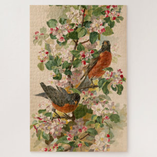 Robins 1896 puzzle