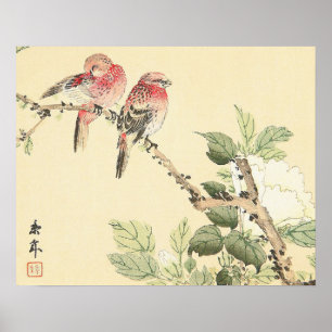 Robins and Peony japanese Vintage Blume birds art Poster
