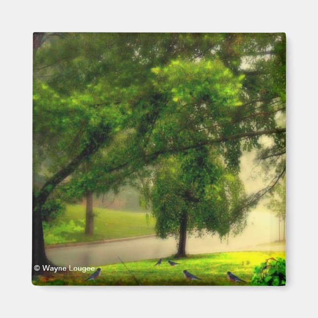 Robins auf dem Rasenmagnet Magnet (Vorne)