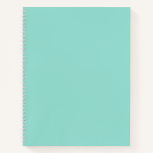 Robin's Egg Blue Solid Color Notebook Notizbuch