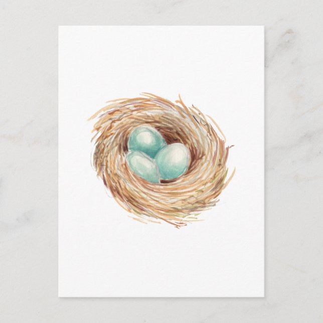 Robin's Egg Nest Blue Watercolor Postkarte (Vorderseite)