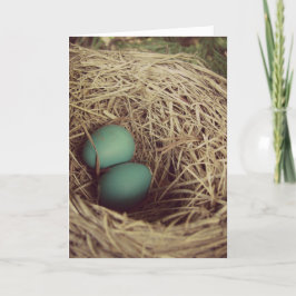 Robins Eggs Osterkarte Karte