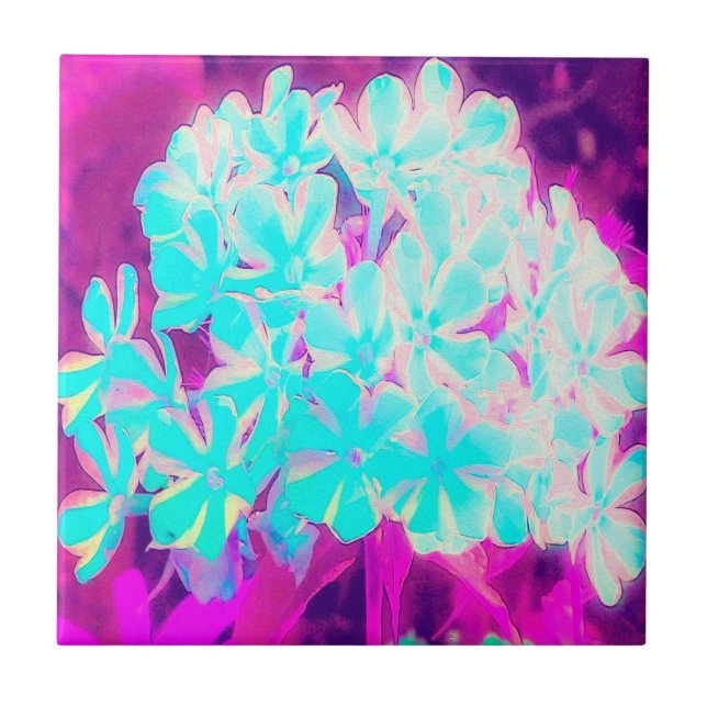 Robin's Ei Blue Peppermint Drehung Phlox Blume Fliese (Vorderseite)