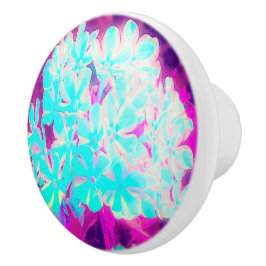 Robin's Ei Blue Peppermint Drehung Phlox Blume Keramikknauf