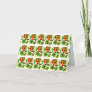 Robins Feiertagskarte
