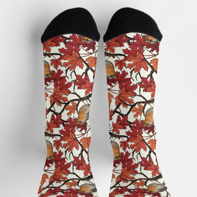 Robins in maple tree on off white socken (Oben)