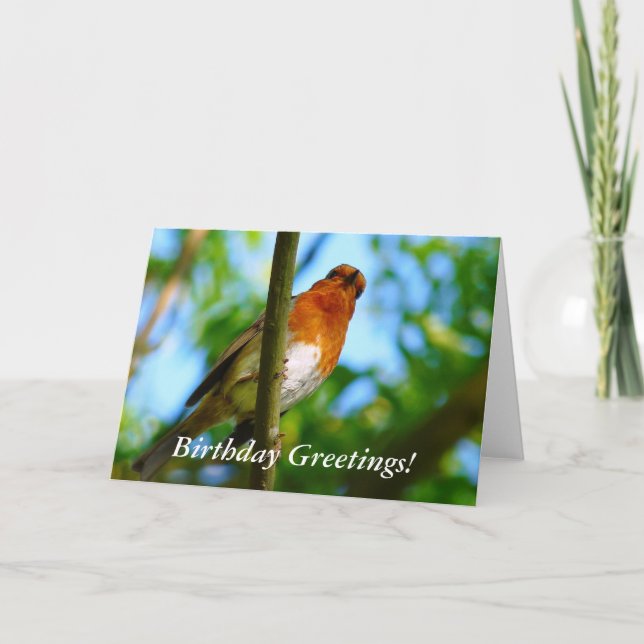 ROBINS KARTE (Vorderseite)