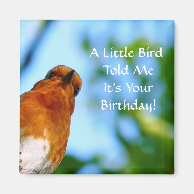 ROBINS MAGNET (Vorne)