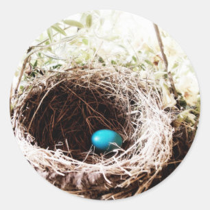 Robin's Nest Runder Aufkleber