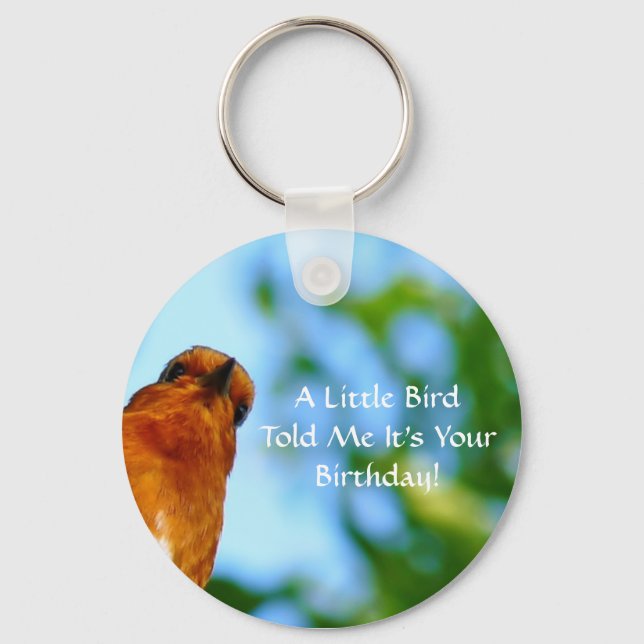 ROBINS SCHLÜSSELANHÄNGER (Vorderseite)