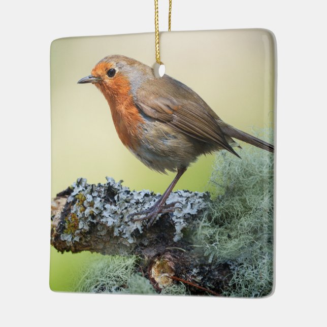 Robin's Woodland Perch Keramikornament (Links)
