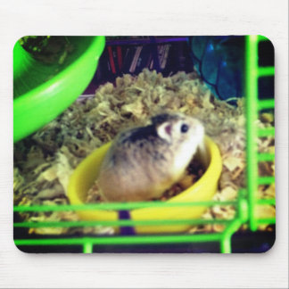 Robo Hamster Mousepad