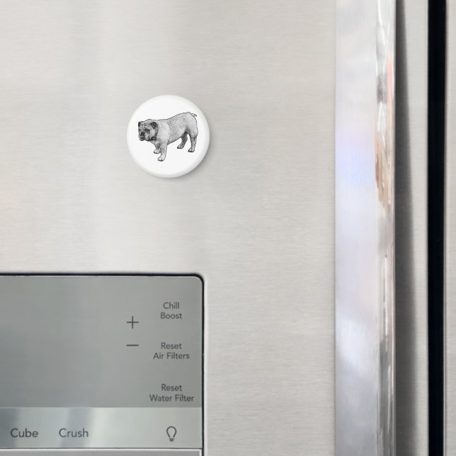 Robuste Punktform Magnet (In Situ (Kühlschrank))