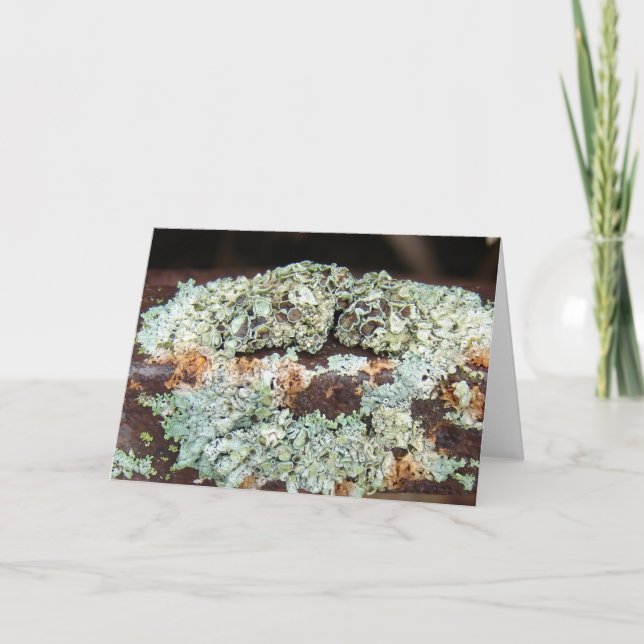 robuste und robuste landwirtschaftliche Ausrüstung Karte (Vorderseite)