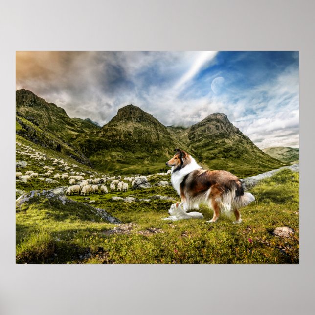 Robustes Collie und Lammherde Schafe - Poster (Vorne)